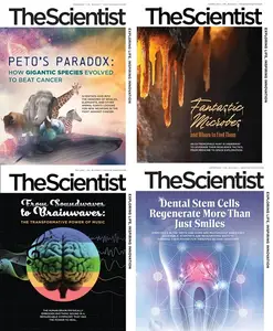 The Scientist 2025 Full Year Collection
