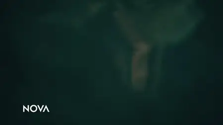 NOVA S52E14