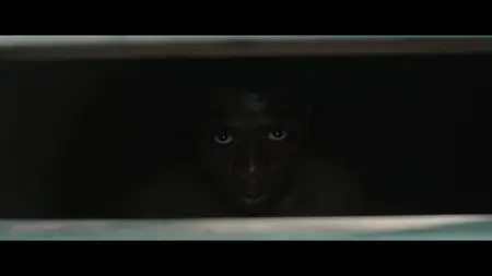 Don't Let's Go to the Dogs Tonight (2024)