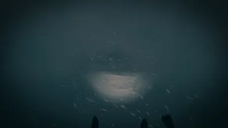 The Last Ski Trip (2025)