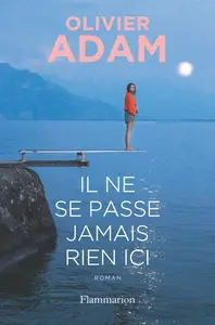 Olivier Adam, "Il ne se passe jamais rien ici"