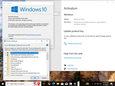 Windows 10 Pro 22H2 build 19045.5440 (x64) With Office 2024 Pro Plus Multilingual Preactivated