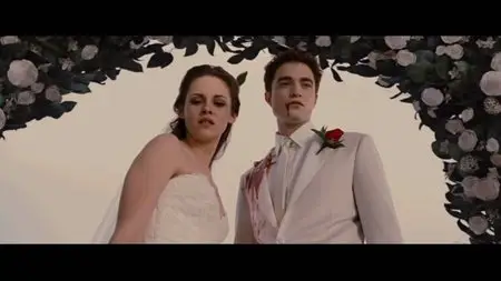 The Twilight Saga: Breaking Dawn - Part 1 - Special Edition (2011)