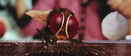 The Fly / Eega / Муха (2012)
