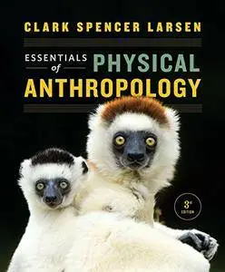 Essentials of Physical Anthropology, 3rd Edition