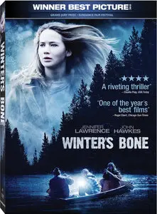 Un gelido inverno (2010)
