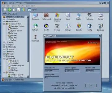 Everest Ultimate Engineer Edition v4.10.1108b - Thinstalled/Virtualized