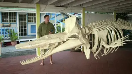 BBC - Super Giant Animals (2013)