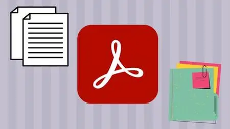 Learning Adobe Acrobat Reader from Scratch