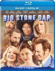 Big Stone Gap (2014)