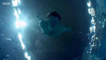 BBC - Storyville: Sync or Swim (2010)