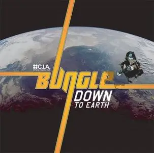 Bungle - Down To Earth (2007)