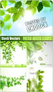Fresh green leaves - Stock Vector