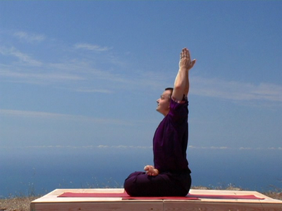 Andrey Lappa - Introduction to Universal Yoga [repost]