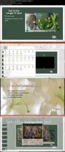 PowerPoint: Audio and Video