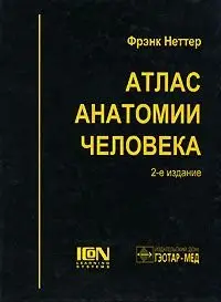 Атлас анатомии человека