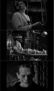 Frankenstein (1931) + Extras [w/Commentaries]