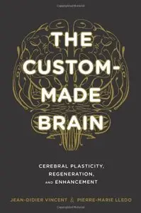 The Custom-Made Brain: Cerebral Plasticity, Regeneration, and Enhancement