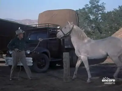 The Outlaw Stallion (1954)