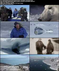 David Attenborough Frozen Planet S01E07