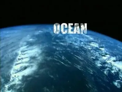 Прирожденные охотники. Диск 4