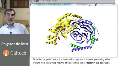 Coursera - Drugs and the Brain [repost]