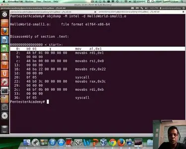 Pentester Academy - x86_64 Assembly Language and Shellcoding on Linux
