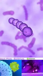 Stock Photo - Bacterium