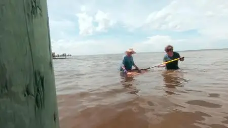 In Search Of S02E03