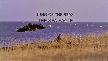 Autentic - King of the Seas: The Sea Eagle (2015)