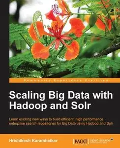 Scaling Big Data with Hadoop and Solr 