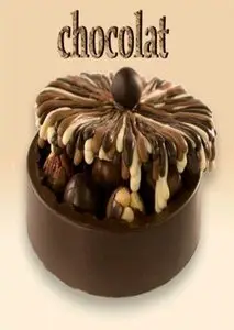 Top 8 des Dessert au chocolat de Emeline: Deux recette de décoration ' ganache et feuilles ' en chocolat