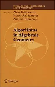 Algorithms in Algebraic Geometry