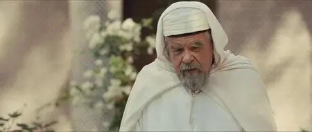 Les hommes libres (2011)