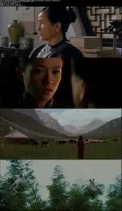 Crouching Tiger, Hidden Dragon (2000) [Remastered]