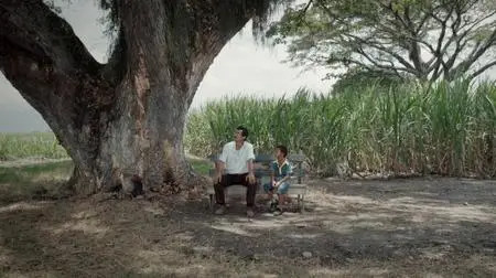 La tierra y la sombra / Land and Shade (2015)