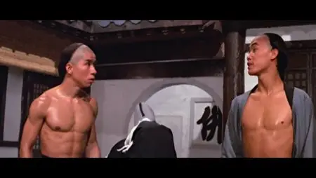 Liu Chia-Liang: Disciples of the 36th chamber (1985) 