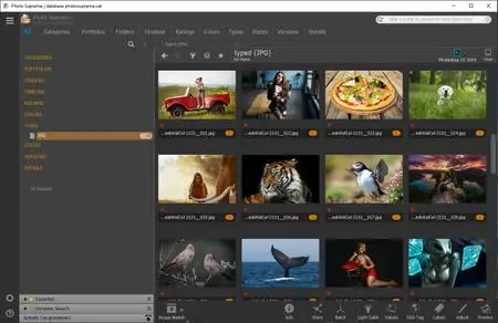 IDimager Photo Supreme 7.4.3.4795 (x64) Multilingual Portable