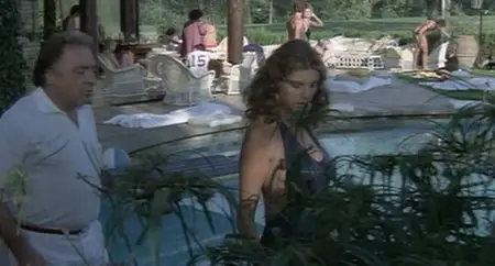 Dove vai in vacanza? / Where Are You Going on Holiday? (1978)