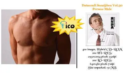 Datacraft Sozaijiten Vol. 30 Person-Male