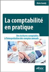 La comptabilité en pratique : Des écritures comptables à l'interprétation des comptes annuels