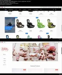 Create a Beautiful Online Store with Shopify - Fast & Easy (2016)