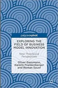 Exploring the Field of Business Model Innovation: New Theoretical Perspectives