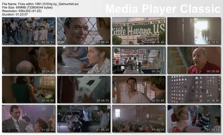 (Drama) Fires Within / Cruel Dilemme [DVDrip] 1991  Re-post