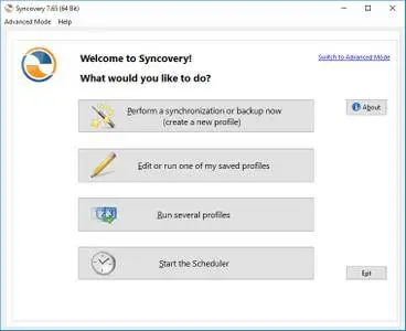 Syncovery Pro Enterprise 7.98q Build 620 + Portable