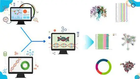 Bioinformatics For Everyone Beginner To Expert Guide 2023