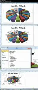 Microsoft Excel Line and Pie Graph Design and Styling