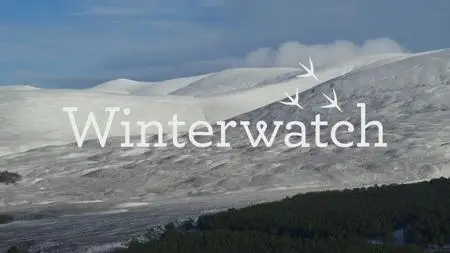 BBC - Winterwatch (2019)