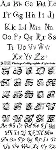 Vectors - Vintage Calligraphic Alphabets