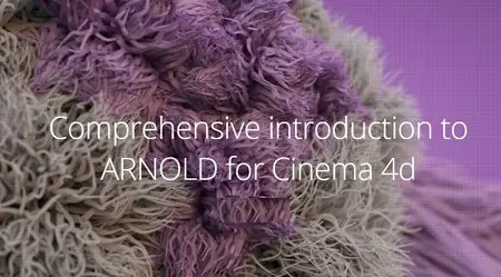 Comprehensive Introduction to ARNOLD for Cinema 4d